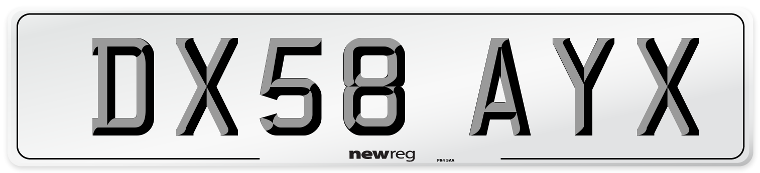 DX58 AYX Number Plate from New Reg